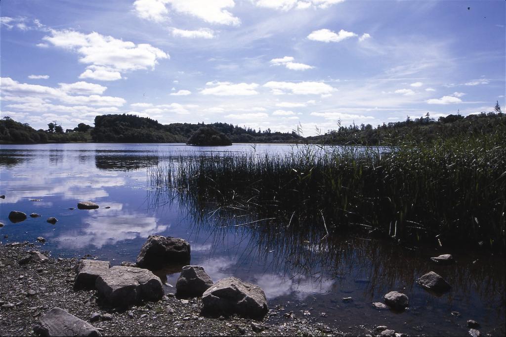 Farnham Estate And Golf 4* Cavan